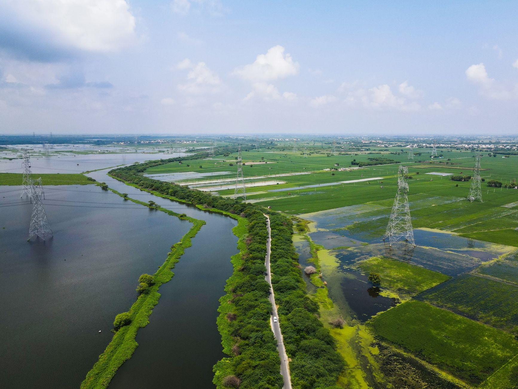 Delhi widow farmland rights: Court’s clear ruling on inheritance